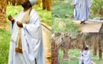 Serigne Mansour Niasse, président du Rp, Fils de  feu Serigne Mamoune Niass