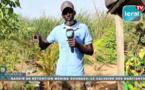 Médina Gounass (banlieue de Dakar): Le bassin de rétention hante le sommeil des habitants du quartier