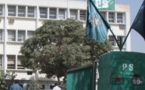 Décès de Gaston Mbengue : Le Parti socialiste annule sa réunion d’évaluation…