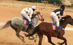 Mécène au secours de l’Hippisme sénégalais: Dr Oumar Bao offre des box de départ neufs !!!