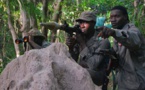 Le MFDC ayant toujours bon dos, pourquoi donc ne pas lui prêter avec intérêt le rôle de "gendarme ripou" ?