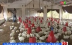 Le poulet, très recherché pour la Korité