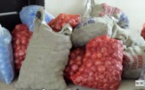 Les Jeunes du Pds offrent un copieux "ndogou" aux "prisonniers politiques" et envoient des denrées alimentaires à leurs familles pour la Korité