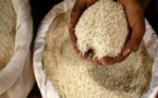 Saint-Louis -Dr Robert Gouantoueu Gueï, FAO : «Le Sénégal a dépensé 347 milliards FCFA dans les importations du riz en 2022 …»