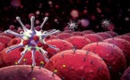 Comment faire mourir le cancer de faim en supprimant ce seul ingrédient