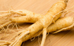 Le ginseng : une plante aux multiples vertus