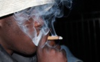  Guédiawaye / Jugé pour trafic illicite : Le Papy « qui soignait son asthme » avec du chanvre indien, écope de deux ans de prison