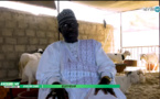 Khadim Samb, Eleveur: "Xamna Diomaye, dañ ma dieulé fima diayé khar, presse dafa wara fay impôt..." 
