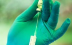 Un vaccin efficace à 100% contre le virus Ebola est à portée de main (OMS)