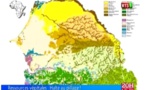 Ressources végétales : Halte au pillage !