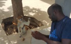 Daouda Faye, le frère de la Première Dame, a laissé sa "carrière" de basketteur en Italie pour…