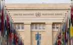 Un stagiaire de l'ONU  diplomé en sciences politiques et sdf