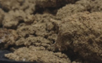 Tababa, la drogue vaginale, stimulant sexuel aux conséquences dévastatrices : Dr Abdoulaye Diop, gynécologue, obstétricien  avertit