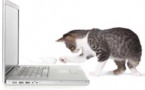 Un PC portable réservé... aux chats !