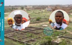 Scandale foncier à Ndiakhirate : Les habitants de Médinatou Malick contre le courtier Pape Gora Seck