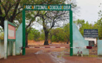 Unesco: Le Sénégal réussit à retirer le Niokolo Koba, du Patrimoine mondial en danger