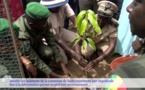 Commune de Sadio: Les habitants expriment leur inquiétude face à la déforestation
