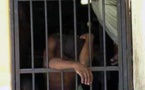 Évasions dans les prisons sénégalaises : Plus de 90 cas enregistrés entre 2013 et septembre 2015 
