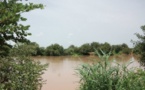 Pluies diluviennes dans le Nord du Pays : Des rizières de Maka Diama, Ronck, Rosso Sénégal et Richard Toll sous l’emprise des eaux
