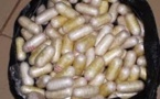 Trafic international de stupéfiants : des Bissau-guinéens arrêtés avec trois kilogrammes de cocaïne estimé à 39 millions