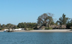 Tourisme : Les Iles du Saloum et les côtes sénégalaises sont comparables aux îles Maldives, selon le directeur régional d'Emirates