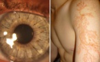 Ces 20 photographies incroyables vont vous étonner ! La 11 est vraiment impressionnante !