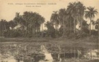 Carte postale : L'oasis de Hann
