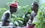 Wadial Tabaski épisode 7 du Dimanche 20 septembre 2015