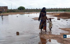 Matam : Des habitants de Gourel Défa évacuent de leurs maisons, à cause de la montée des eaux du fleuve
