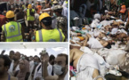 Bousculade à la Mecque : Au moins 15 Sénégalais parmi les victimes, précise Mansour Diop de Zik Fm. Regardez