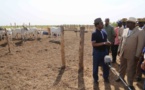 En compagnie de son ami Baba Diao, le président Macky Sall achète son mouton pour la Tabaski