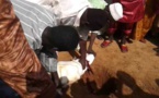 Thies TV: Intégral de la prière de la Tabaski à Thies à Moussanté: Le sermon de l’imam Ndiour (thiesinfo.com)