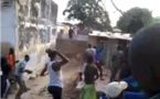 Vidéo incroyable, une hyène fait le buzz à Foundiougne