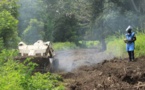 Casamance : 197 villages déjà déminés