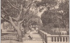 Carte postale : Place Protêt et Boulevard national, Dakar