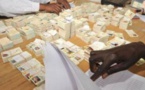 Législatives anticipées : Environ 300 cartes d’électeur en souffrance à Banjul
