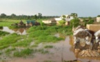 Des juristes préconisent des “politiques d’urgence” pour des solutions à la crue du fleuve Sénégal