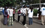 Recrutement dans la fonction publique : Les sortants de la Fastef invitent Serigne Mbaye Thiam à respecter ses engagements