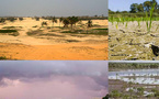 Selon un nouveau rapport : L'action climatique est essentielle à l'ambition du Sénégal, de devenir un pays à revenu intermédiaire de la tranche supérieure