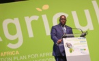 Financement des projets agricoles : Le Président Sall préconise l’implication des banques commerciales