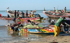 Journée Mondiale De La Pêche La CAPS sensibilise sur l’émigration irrégulière et la préservation de la ressource