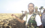 L’impressionnante sécurité de Cheikh Amar