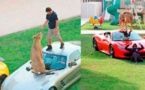25 photos qui montrent l'absurdité de la richesse de Dubaï... Vous feriez bien un tour dans ma Lamborghini en or ?
