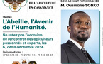 Économie verte : Le Congrès International de l’Apiculture en Casamance, s’ouvre ce vendredi, à Ziguinchor