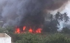 Urgence signalée - Alerte danger : Un important feu de brousse fait des ravages derrière la Cité Fadia Guentaba