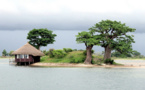 Un organisme de gestion de destination réinventé afin de promouvoir le Delta du Sine Saloum : Innovation dans l’Etourisme au Sénégal