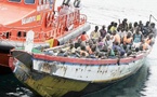 Plus de 1 200 migrants secourus au large des côtes des Canaries