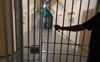 Grâce présidentielle : Bassirou Diomaye Faye soulage 1 223 personnes condamnées