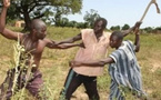 Koungheul : Une bagarre entre entre bergers et cultivateurs, fait un mort