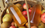 Des boissons permettent de lutter contre l'apparition des cancers